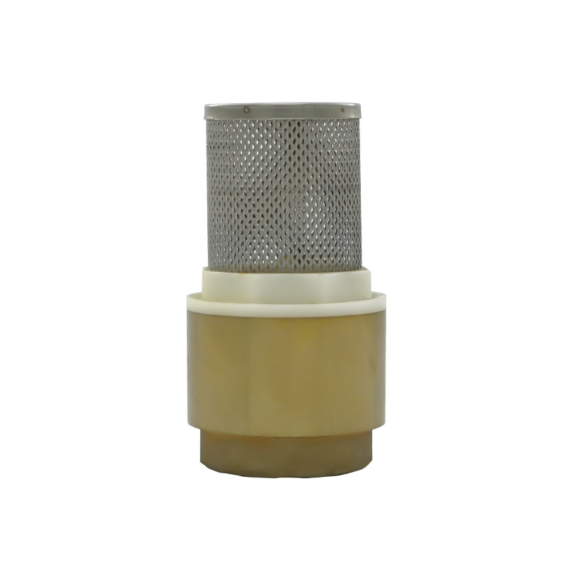 What is a check valve used for?